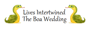 Lives Intertwined: Recessional : wedding isabela puerto rico pictures pro pics recap Recaps
