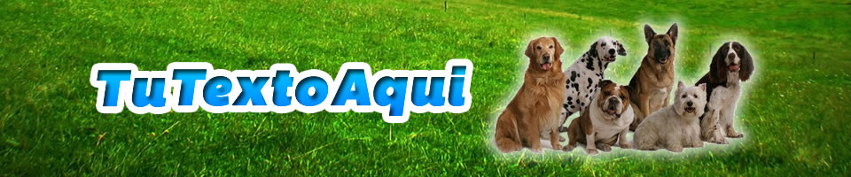 headercanino.jpg