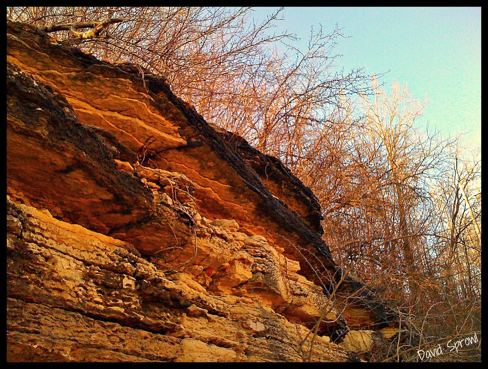 David Sprowl The Ragged Edge