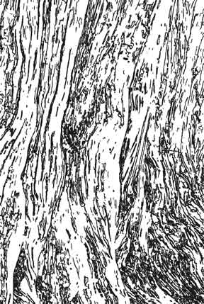 Mixed Media Artist: Tree texture quilt - part one