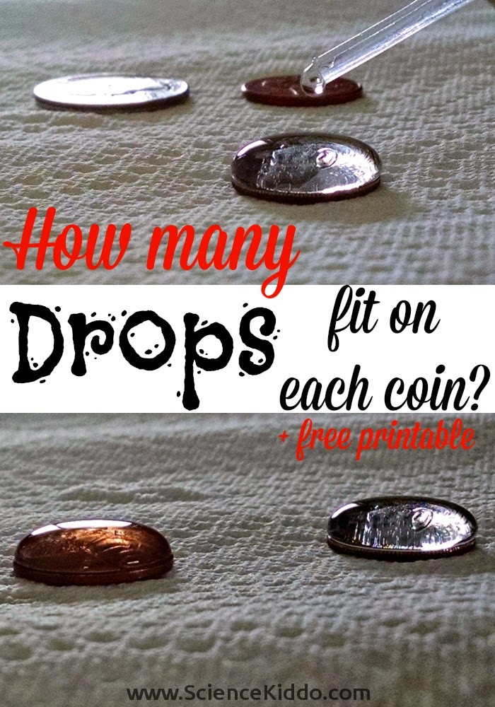 Surface Tension Drops of Water on a Coin + Free Printable The