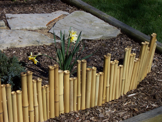 bamboo grove garden