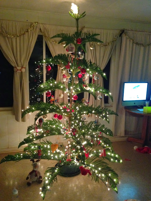 north shore notes hawaiian christmas tree north shore notes hawaiian christmas tree