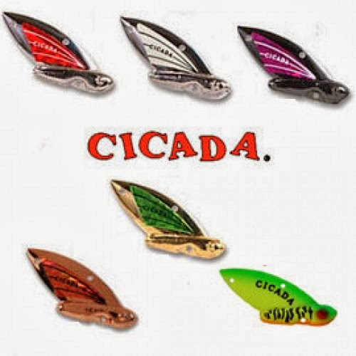 The Urban Sportsman Product Review Reef Runner Cicada