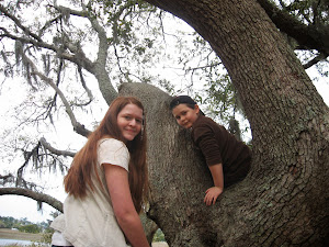 Charleston Tree Climbing