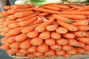 Signs and Symptoms of Carrot Allergy Signs and Symptoms of Carrot Allergy