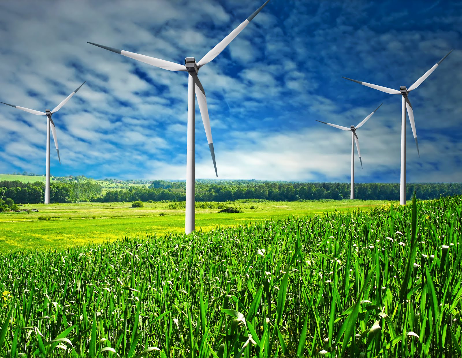 RedVector Green Blog: New Wind Power Course + 3 New Webinars