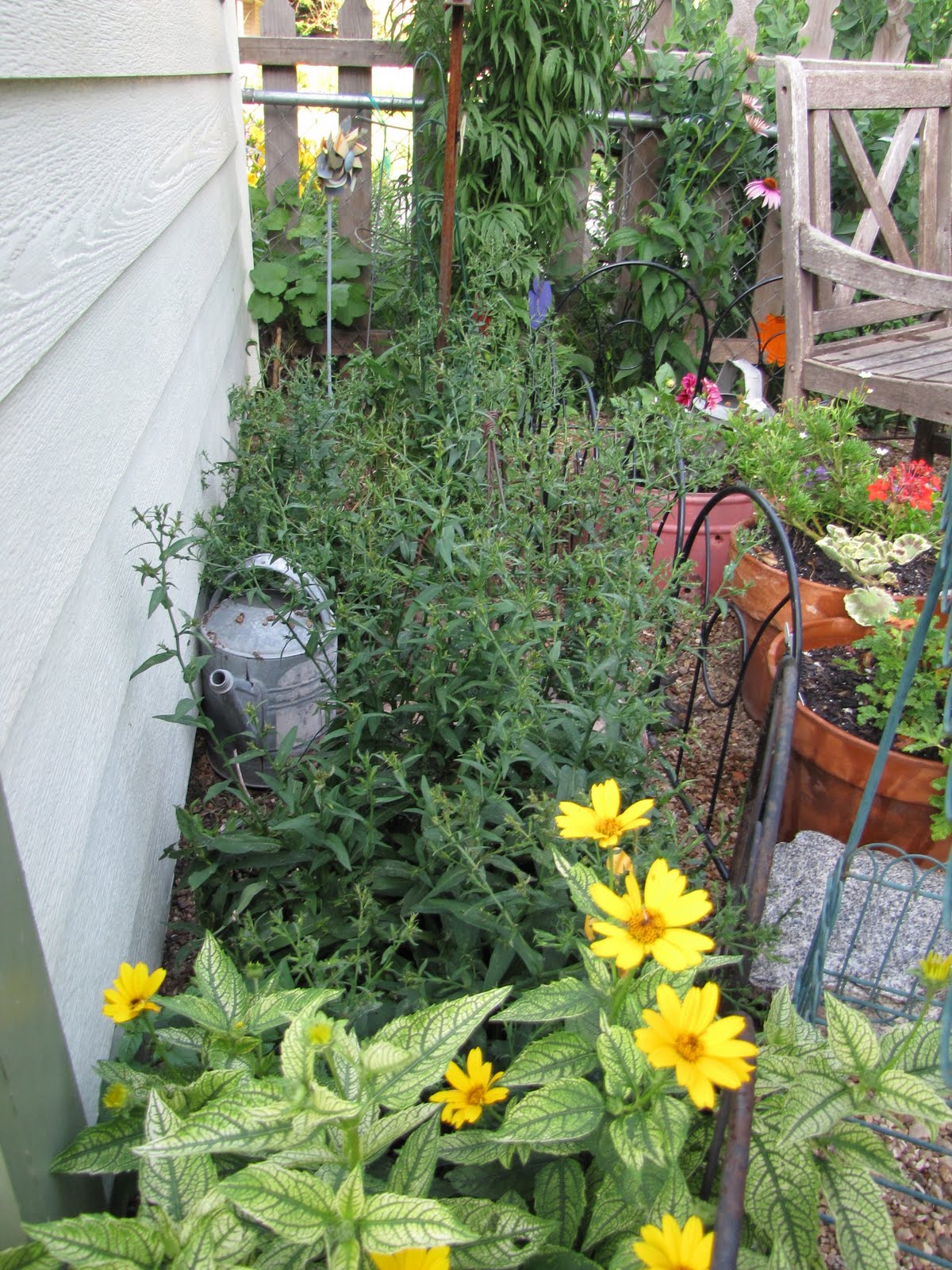 A Corner Garden The East Side of the Back Yard