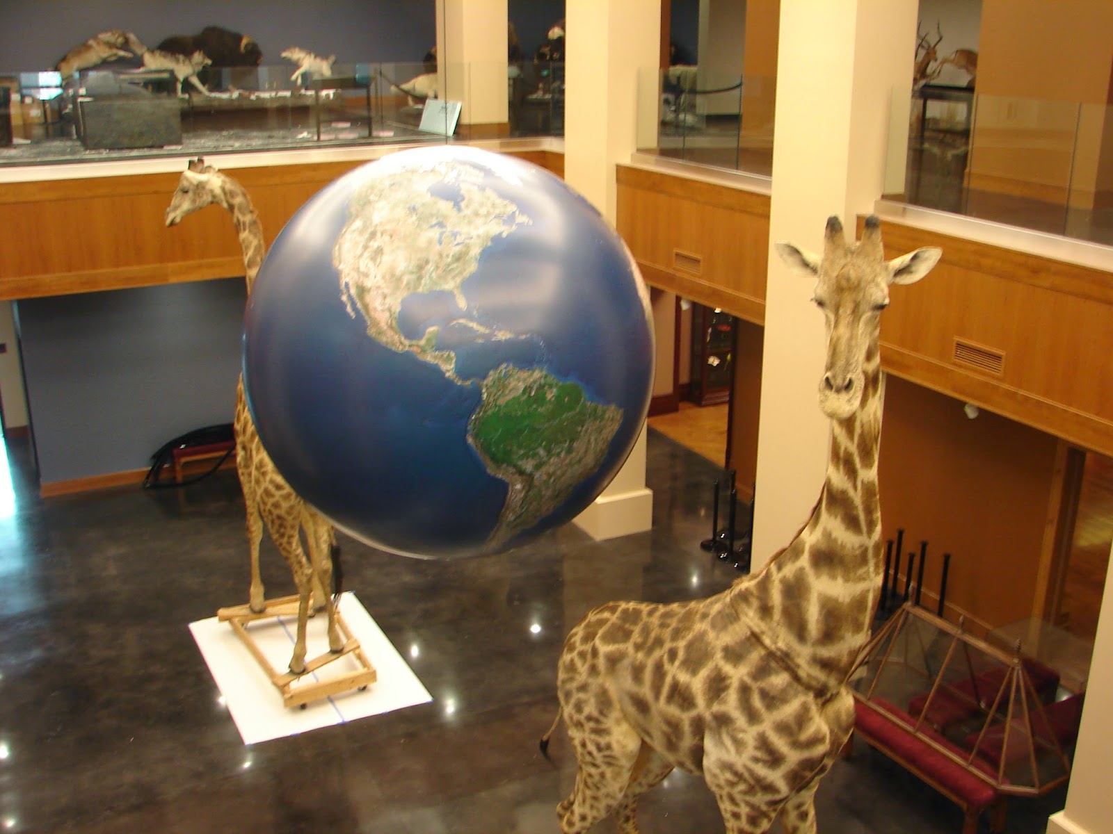 Bean Blog Bean Life Science Museum NEW EXHIBIT HIGHLIGHTS