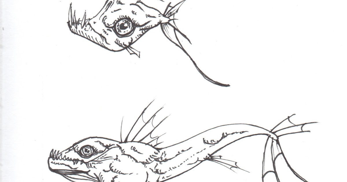 Naut Done Drawing Fish Eye part 3