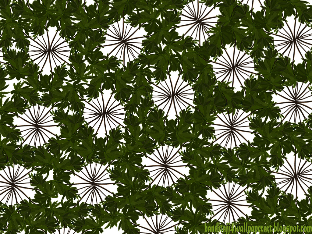 http://4.bp.blogspot.com/-sRnqsG0xnNQ/TrlC85C9h-I/AAAAAAAAAlU/cbI3035Lv5w/s1600/BesT-Circle-Abstract-Tree-Nature-Wallpaper.jpg