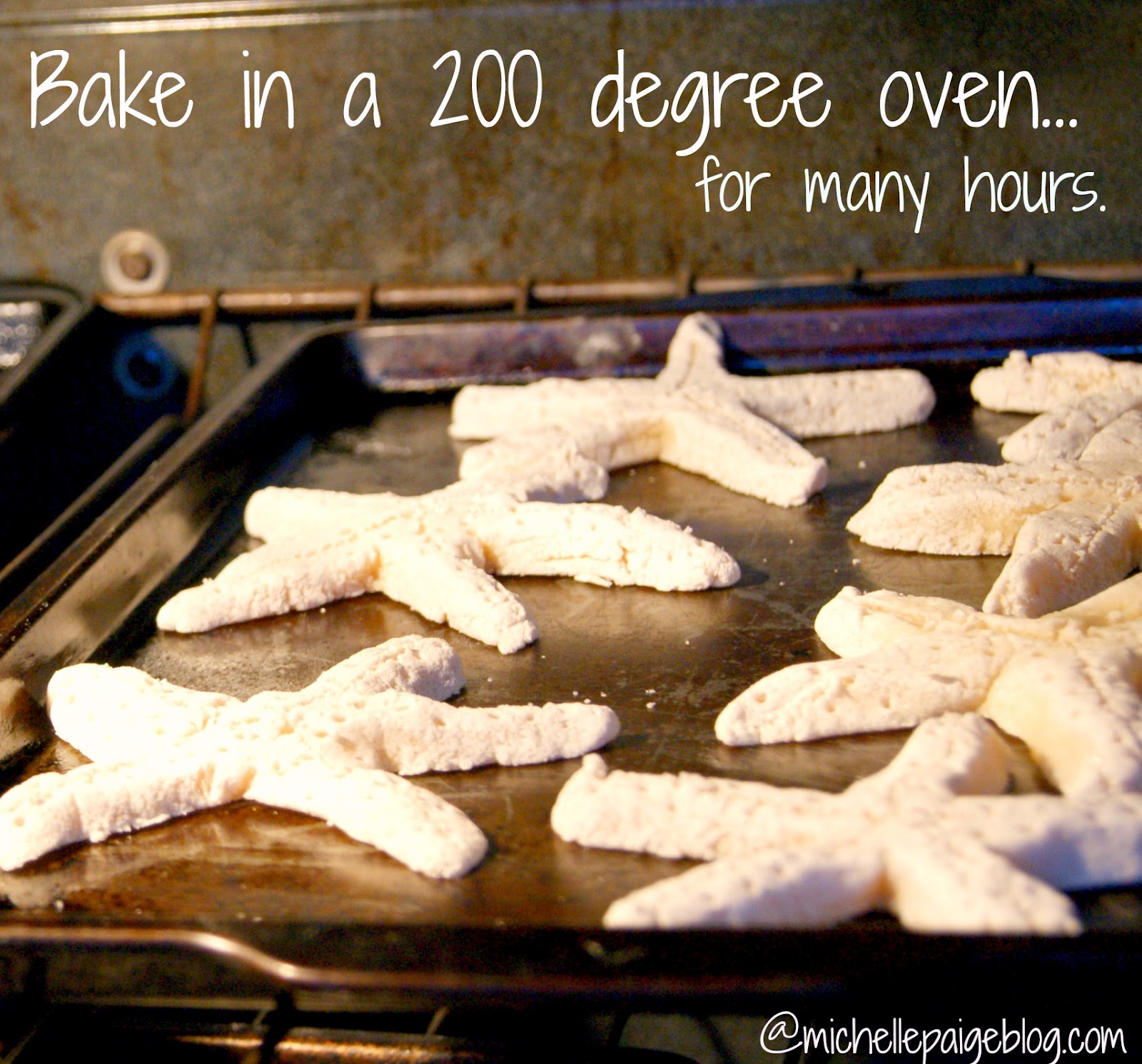 michelle paige blogs Salt Dough Starfish