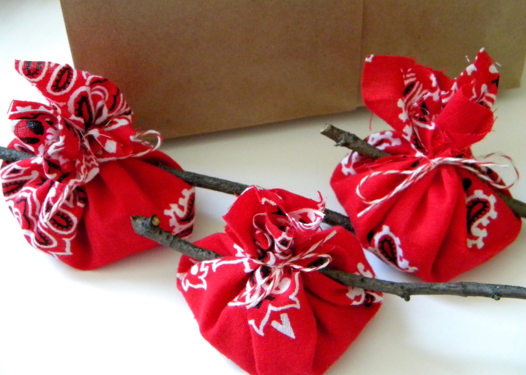 homework a creative blog Celebrations red bandana party favors