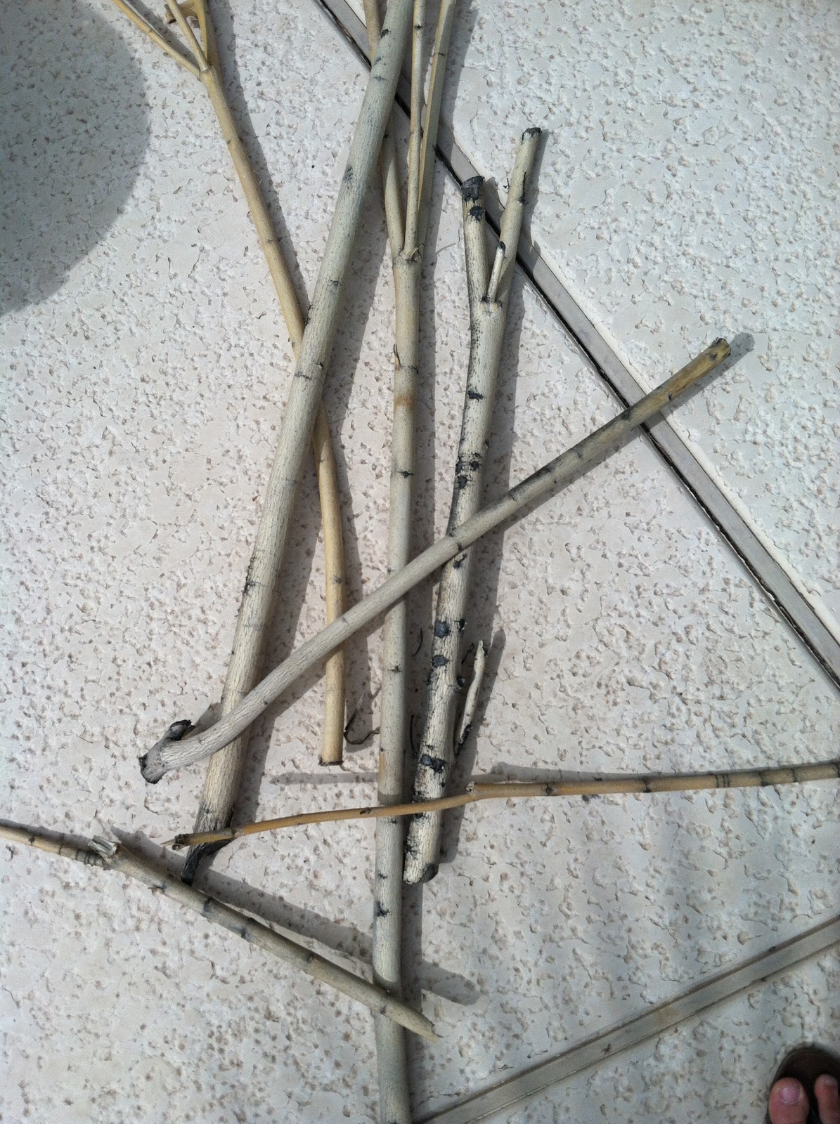 DIY glitter dipped stick wall decor. LOVELY LITTLE RANTS