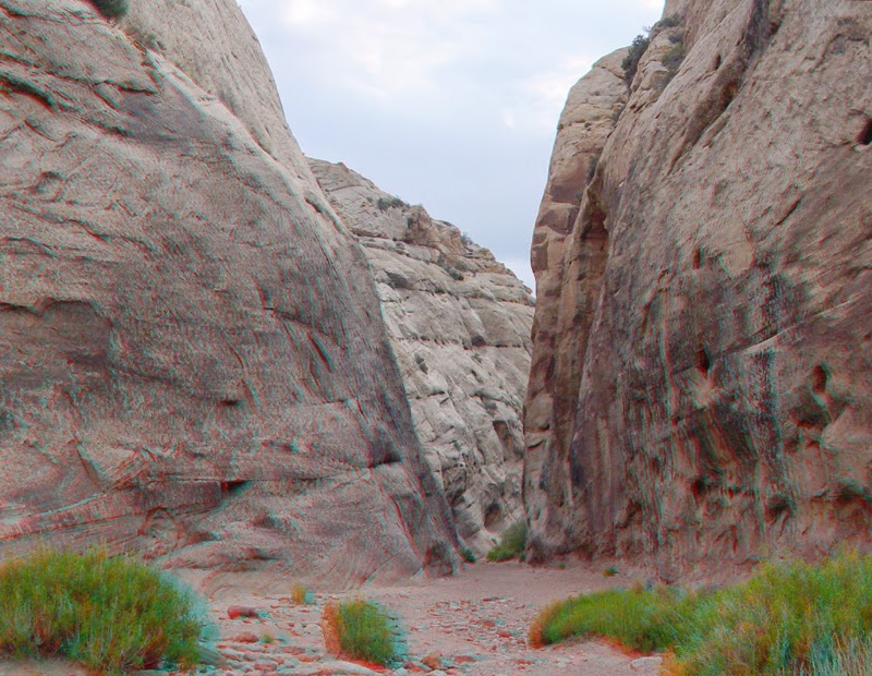 Gene's Family Tree THE LAND OF THE SLEEPING RAINBOW by IRENE WILSON K.I.