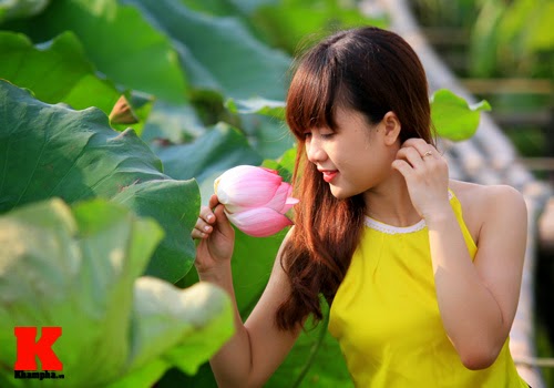 The lotus and Vietnam girls The lotus and Vietnam girls