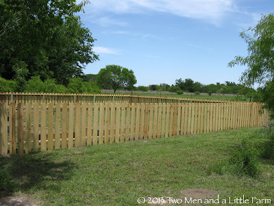 Two Men and a Little Farm: RAISED BED GARDEN FENCE UNVEILING
