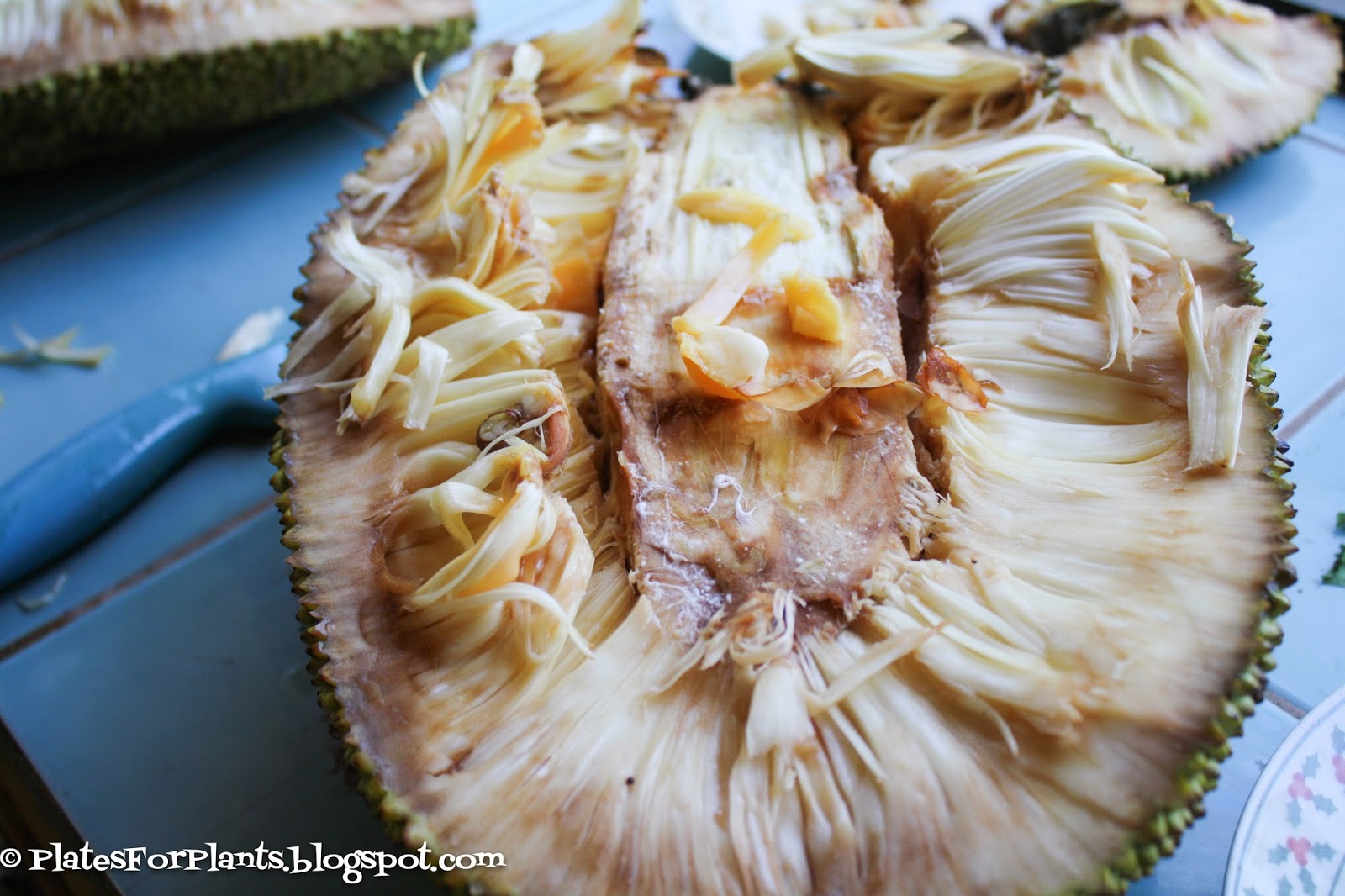 Plates for Plants How to Eat A Jackfruit