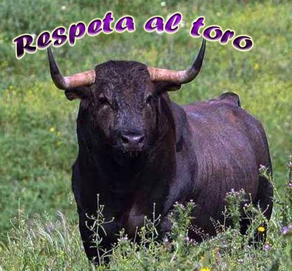 Respeta al toro