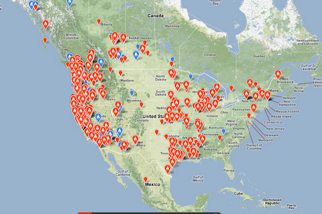 The Curious Birder: Trending "Rare" birds on eBird and Listserv's