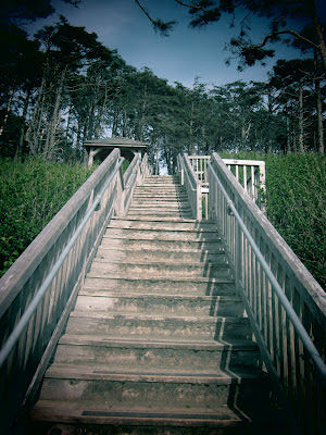Set of stairs at Seabrook Island that inspired David Shuler of Seattle Stair & Design.