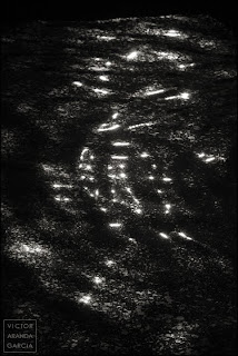 fotografia artistica en blanco y negro