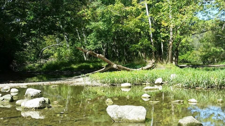 Phreedom Phormula Today in Battelle Darby Creek Metro Park (Galloway