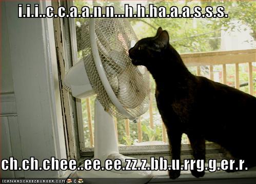 Funny Fan Photos