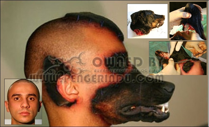 http://4.bp.blogspot.com/-sUsuNgE7lJQ/TZeITeQljZI/AAAAAAAACrU/p1DsVIS0SGQ/s1600/ManusiaMukaAnjing-pengerindu.jpg