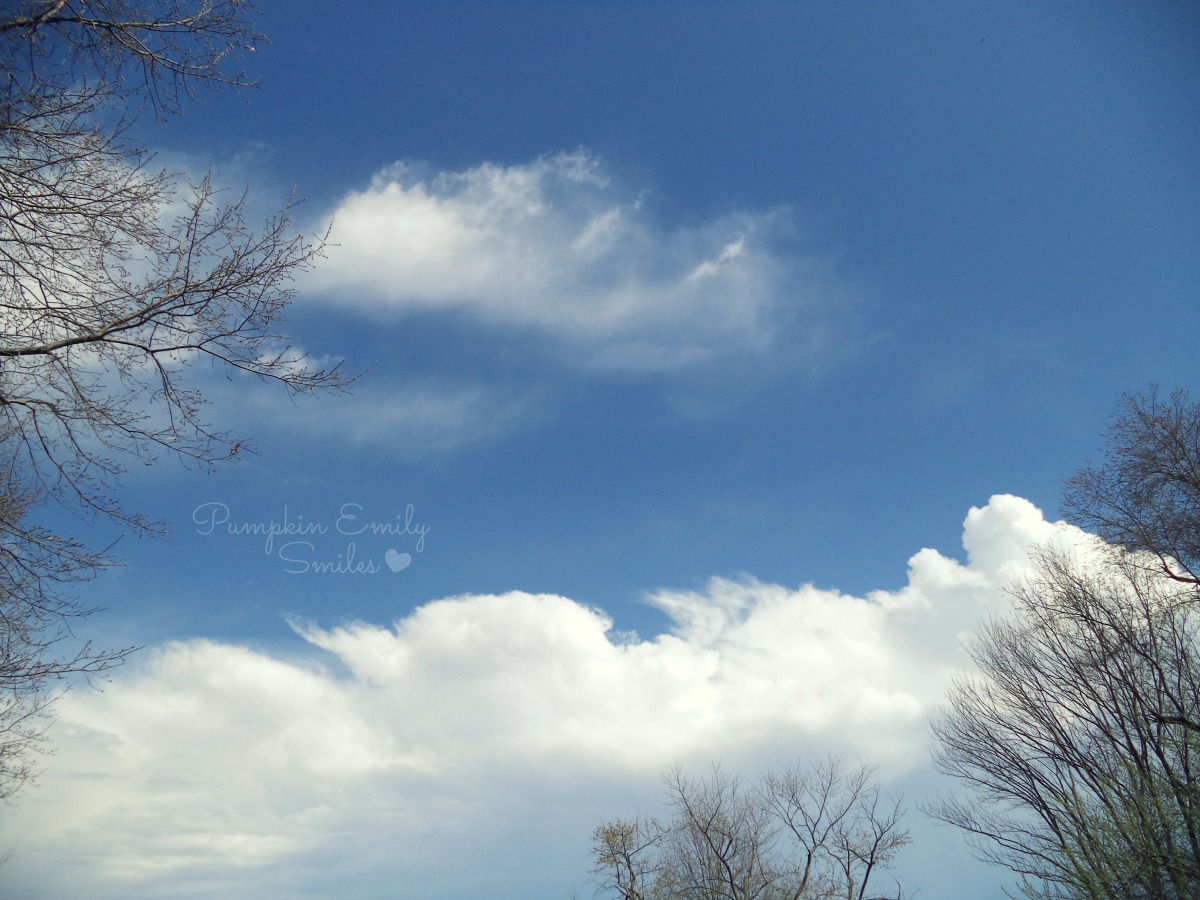 Clouds that look like waves and mountains