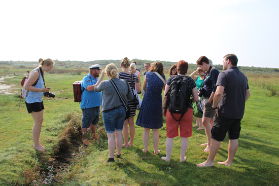 binedoro Blog ⎟ #bloggenmitherz auf Borkum ⎟ Auf ins Watt!