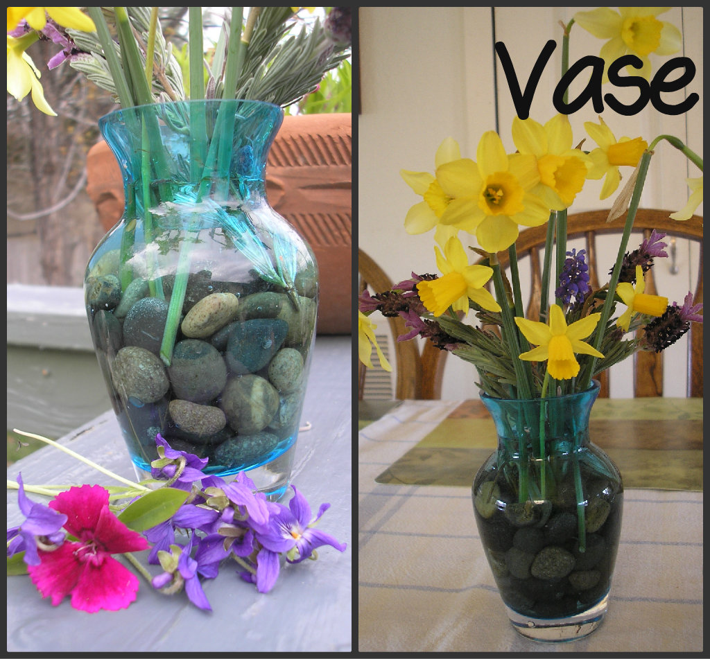 Handbook of Nature Study Top 5 Ways to Display Rock Collections