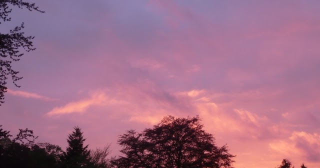 Britta S Happiness Of The Day Der Morgen The Morning By Joseph