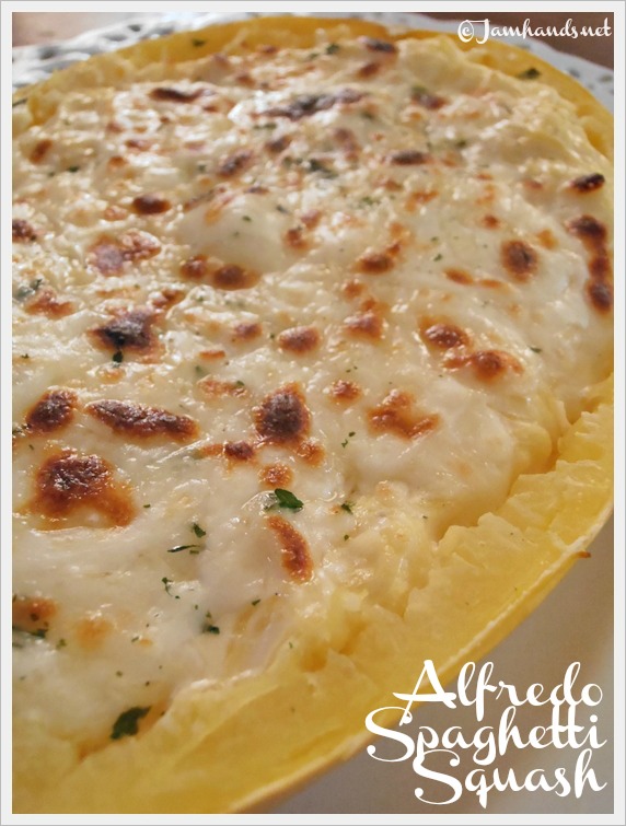 Jam Hands Alfredo Spaghetti Squash