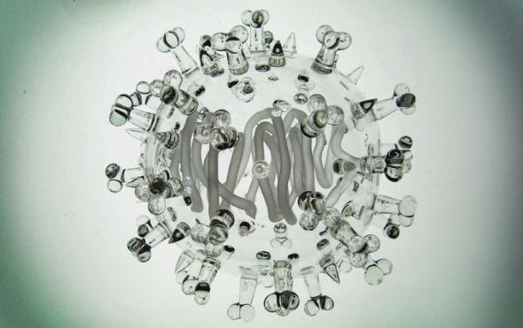 Luke Jerram glass microbiology esculturas vidro microbios virus bactérias arte ciência doenças Luke Jerram glass microbiology esculturas vidro microbios virus bactérias arte ciência doenças