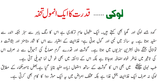loki qudrat ka ek anmol tohfa 3