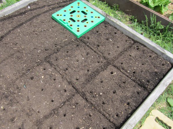 How To Use the Seeding Square in Your Garden