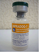 Amoxicillin price