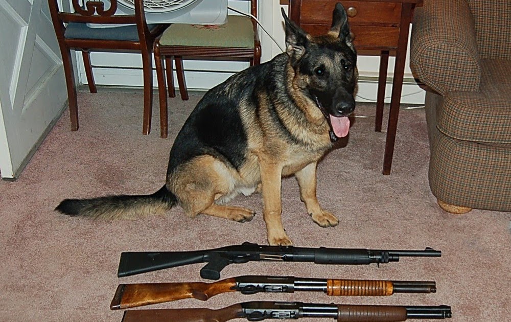 What's Next The Dog??? Some Shot Guns Banned?? Why??
