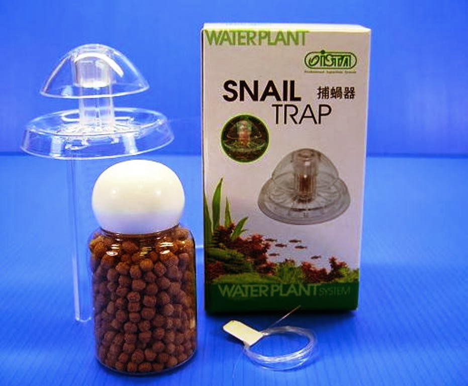 Snail trapAQUARIUM/PLANT/SHRIMP/FISH/CORAL/TANK/POND/MARINE eBay