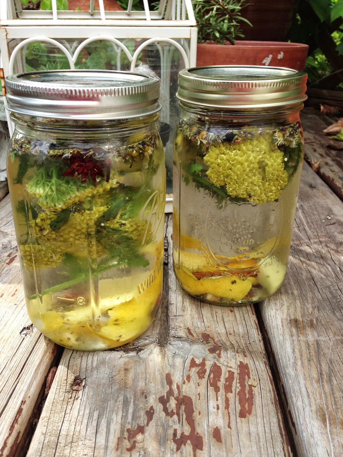 RECIPE Homemade Gallianoish Liquor Infusion