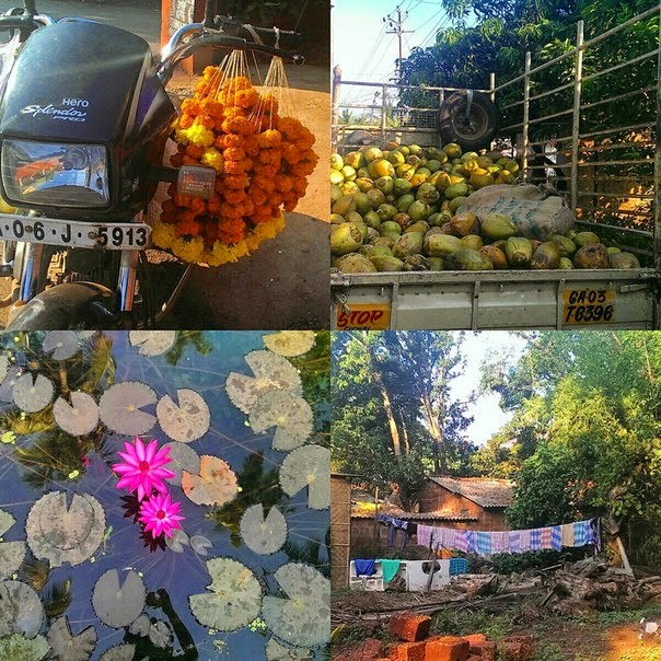 Татуировки хной (фото) Хна для тату купить хну для