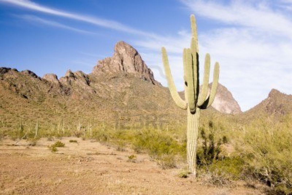 Reporteros.com: DESIERTO DE SONORA: INFERNAL CAMINO DEL SUEÑO AMERICANO