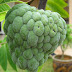 Use Of Custard Apple