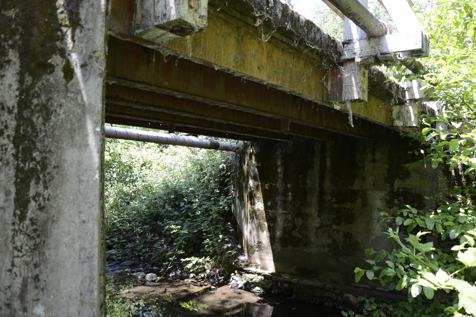 Bridge of the Week Calaveras County, California Bridges; Douglas Flat Bridge across Coyote Creek