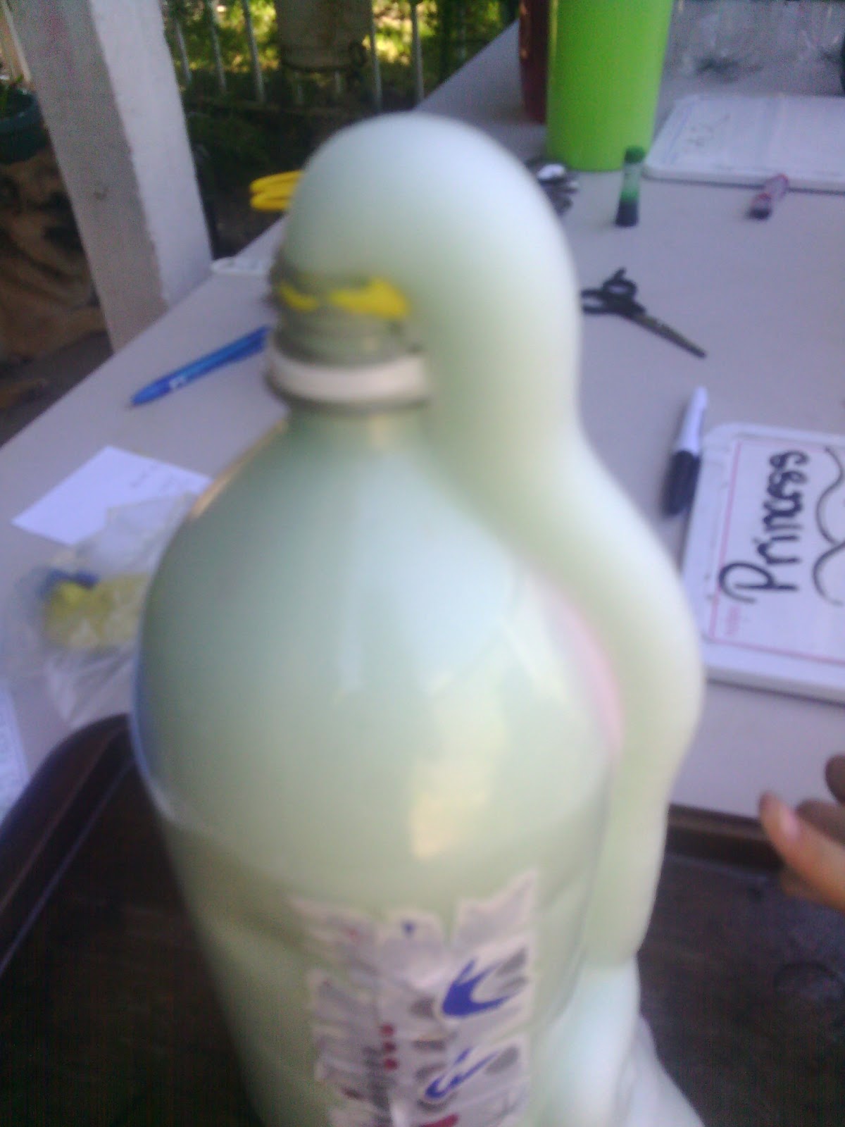 Scattered Yet Together: Science Fun With Soda Bottles