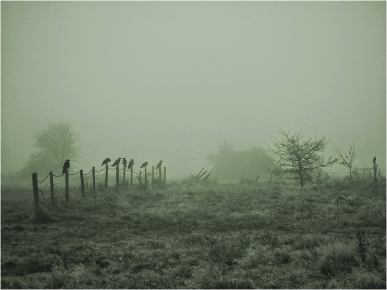 Compact Camera, Best Photo of the Day in Emphoka by Andrew Warran, Fujifilm FinePix HS10, https://flic.kr/p/e6Uiba Compact Camera, Best Photo of the Day in Emphoka by Andrew Warran, Fujifilm FinePix HS10, https://flic.kr/p/e6Uiba