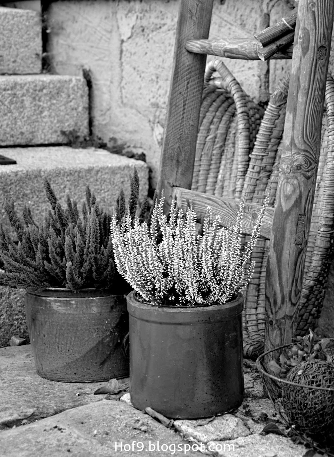 Hof 9: Innenhof II. Teil