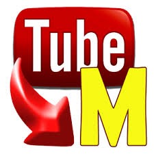 Tubemate for blackberry curve 9320