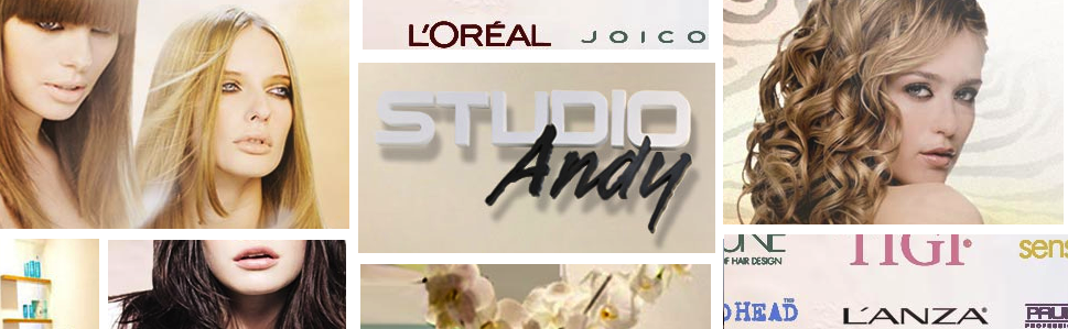 Studio Andy